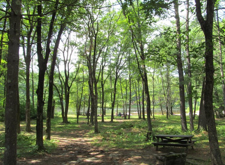 Pearl Hill State Park, Massachusetts, USA